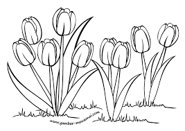 Kumpulan gambar mewarnai yang menarik dan bagus untuk anak tk dan paud dari gambar hewan, pemandangan, masjid, buah, gambar mewarnai hello kity dan lainnya. Mewarnai Bunga Tulip Contoh Gambar Mewarnai Sketsa Easy Drawing Tutorial Sketsa Bunga