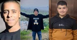 Defense for Children International Palestine (DCIP)