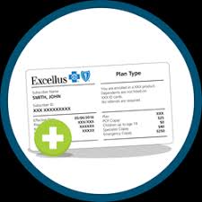 This is a direct query dataset, so it is essentially giving real time data, updated every minute. Excellus Bluecross Blueshield Live Fearless