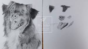 Dessin chaton dessin poisson poisson rouge dessin noir et blanc animaux faciles à dessiner dessins faciles pour les enfants dessin facile animaux apprendre à dessiner un chien comment dessiner un chien. Comment Dessiner Un Chien Realiste Tuto Facile Blog Le Dessin