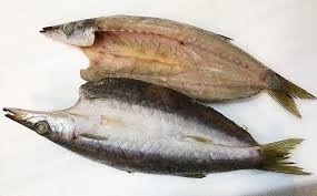 地魚厳選 特カマスひらき 5651 0640 千葉県南房総市 ふるさと納税 ふるさとチョイス