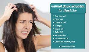 Home Remedies For Head Lice Wondering About How To Get Rid Of Head Lice Here Re The Top 11 Natural Home Remedies T Head Lice Remedy Head Louse Home Remedies
