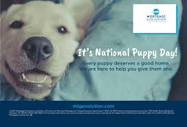 It S National Puppy Day Celebrate By Giving Your Favorite Pup Some Extra Love In 2020 National Puppy Day Shelter Dogs Adoption Dog Adoption