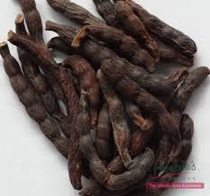 Image result for Xylopia aethiopica