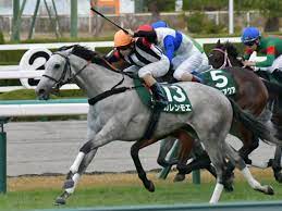 新着順 売上順 おすすめ順 マイリスト登録順 レビュー評価順 人気順 価格順. 4lo0diz78mcb3m