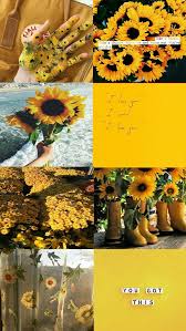 If You Like What You See Then Follow Kailey Kaileyannnn On Pinterest Iphone Wallpaper Yellow Aesthetic Iphone Wallpaper Iphone Wallpaper