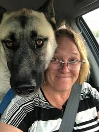 Found dog in Sunland/Tujunga area