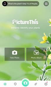 Best plant identification app android 2021. Know How To Identify A Plant By Photo On Phone