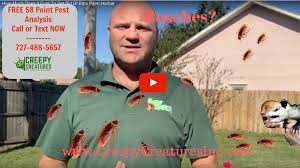 Richard james macdonald of palm harbor faces charges of grand theft, exploitation of an elderly person, and forgery. Palm Harbor Fl Pest Control Wildlife Management Termites