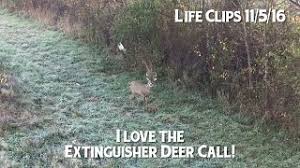 Check spelling or type a new query. Extinguisher Deer Call Works Here S Proof Youtube