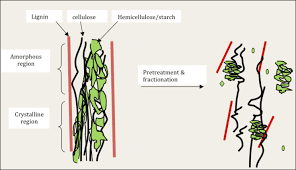 When the word carbohydrate is used, i typically think of the carbohydrates in food. Effects Of Pretreatment On Lignocellulosic Biomass 12 Download Scientific Diagram