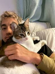 Alternative pet boarding options in Texas besides Pet Pad and Happy and Fed