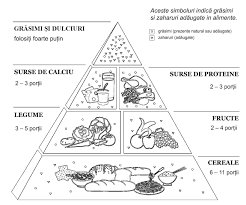 Imagini Pentru Piramida Alimentelor Fisa De Lucru Education Activities Word Search Puzzle