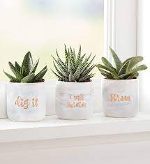 He will please your friend and family and the person who will receive a gift will wear the power of making people smile around him wear it with caution ! The Easiest Gifts To Give This Holiday Season If You Re A Super Lazy Person Plant Gifts Flower Pot Design Plant Pot Diy