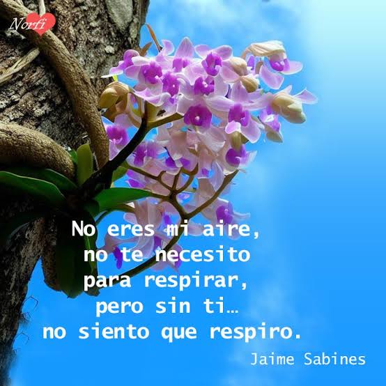 Frases de amor profundas