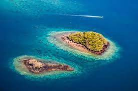 Jul 28, 2021 · an infection caused by a fungus (fungal infection) can develop on skin, hair or nails or can cause a serious infection in the lungs or blood. Kultur Mayotte Easyvoyage