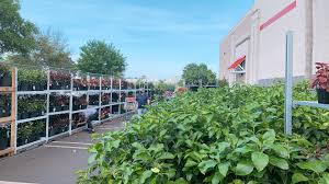 Costco also provides online pharmacy services. Te9x3r4r8e1vvm