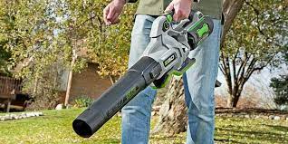 Ego Leaf Blower Review 2021