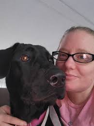 Anyone who had a lab who does not like other dogs (she lives with two other  dogs (her brother different litter and her nephew) who she is fine with)  she just doesn't