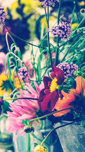 1525367608 263 Nature Iphone Wallpaper Ideas Nature Wallpaper Iphone Flowers Jpg 640 1 137 Pixels Iphone 7 Plus Wallpaper Spring Wallpaper Preppy Wallpaper