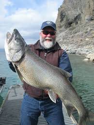 Holy Mackinaw Gene St Denis Reeled In This 29 Pound 11 Ounce Fish On March 28 From Lake Tahoe Photo Provided Lake Fishing Trout Fishing Lake Tahoe