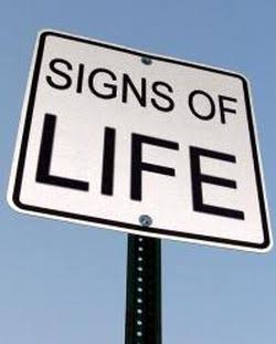 Signs of Life: Day 1 – JohnnyBGamer