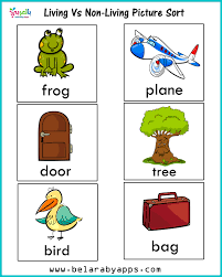 living vs nonliving activities for kindergarten belarabyapps