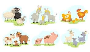 Farm Animals Images Free Vectors Stock Photos Psd