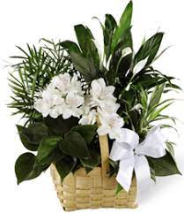 Maybe you would like to learn more about one of these? Veldkamp S Flowers W Colfax Avenue Lakewood Co 80215