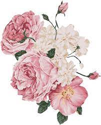 Check spelling or type a new query. Download Report Abuse Pale Pink Flower Png Png Image With No Background Pngkey Com
