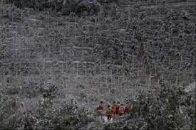 Volcanic Ash Impacts Mitigation Effects On Forestry