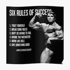We did not find results for: Arnold Schwarzenegger Posters Redbubble