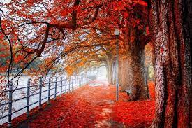 Autmn Landscape 4k Ultra Hd Wallpaper 4k Wallpaper Net Landscape Wallpaper Hd Nature Wallpapers Nature Wallpaper