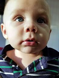 Nolan Frederick Panetta Blair Obituary