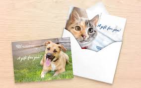 It may be possible, however, for the recipient of your gift to highlight the convenience of a virtual gift. Protect Animals Give A Gift The Humane Society Of The United States