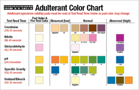 51 All Inclusive Abnormal Urine Color Chart