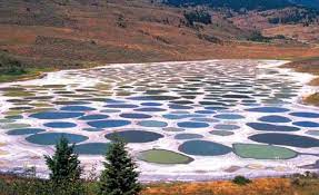 Check spelling or type a new query. The Spotted Lake Osoyoos Canada Interestingasfuck