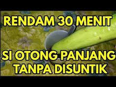 Pin Di Resep