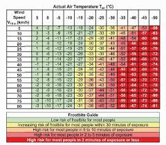 Wind Chill Temperature Wct Chart From Meterological