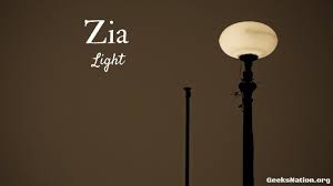 Pin By Kapeesh Gaur On Learning Urdu Light Light Bulb Words