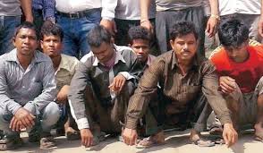 Image result for illegal immigrant gangs