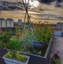 epingle sur jardin