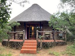 Image result for Schotia