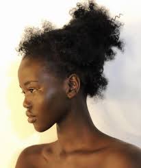 A large variety of updos for black hair finds inspiration in rich culture and heritage, making a black updo not only a beautiful addition to the image, but also a testimony of great history. Pin On Beautiful
