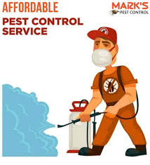 Affordable pest control solutions, will restore your peace of mind providing a cockroach ,ant, spider, bed bug free zone! Pest Control Hastings Affordable Pest Termite Exterminator