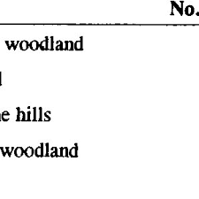 Image result for Nesaea passerinoides