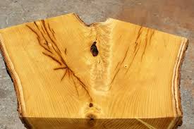Rare Unusual Mulberry Wood Slab Crotch Feather Figure Natural Live Edge Gorgeous Yellow Sanded Finished End Side Table By Wood Slab Natural Live Edge Mulberry