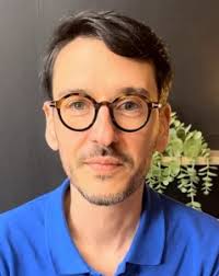 DomImplant Formation