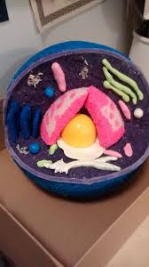 How To Build 3d Models Of Animal And Plant Cells Cells Project Animal Cell Project Plant Cell