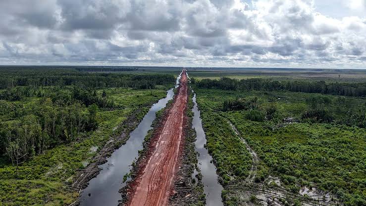 Wanam Project Advances as 230 Hectares of Farmland Are Cultivated